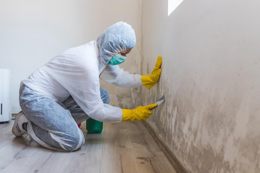 a mold remediation technician removing mold from the walls of a building