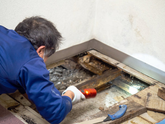 Mold remediator in Louisiana conducting a residential inspection